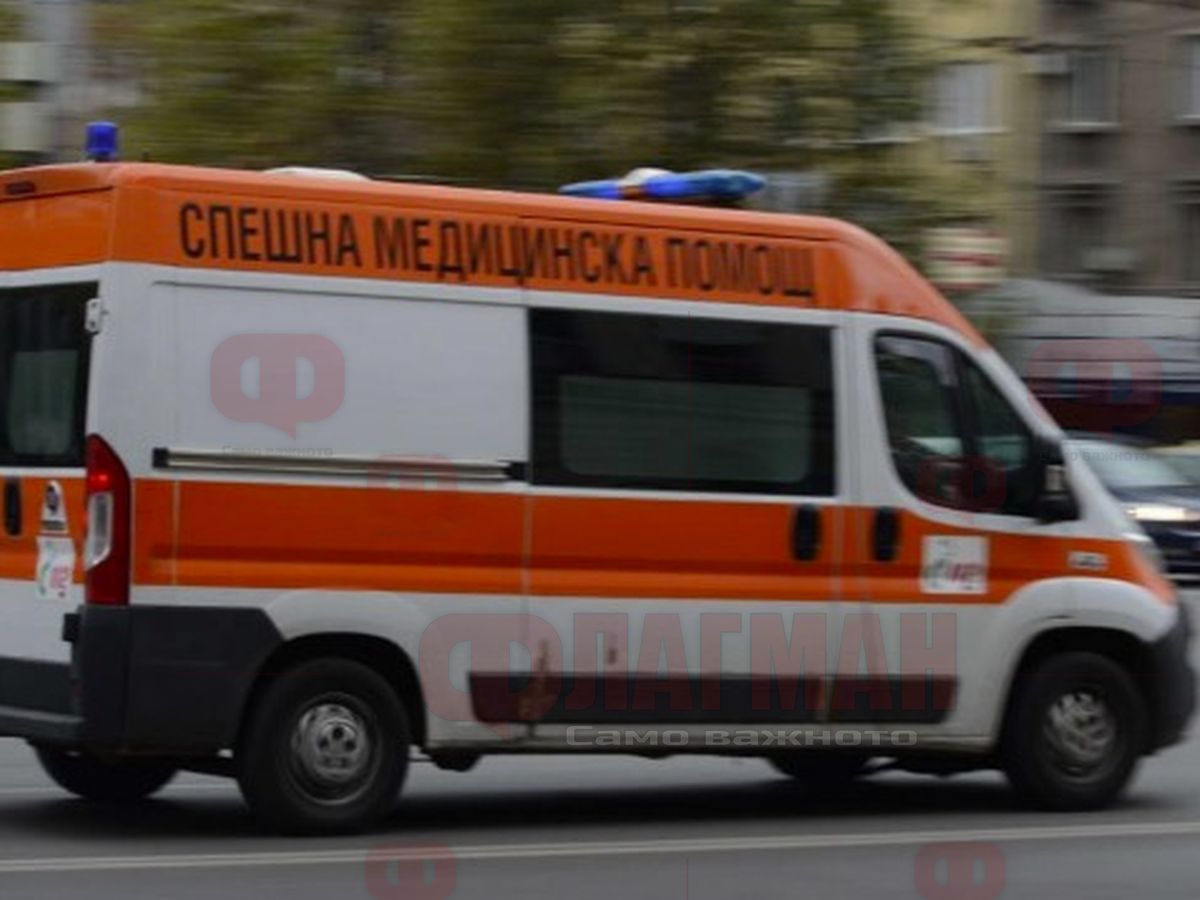 Дърво падна върху палатка и уби млада жена край Рилския манастир