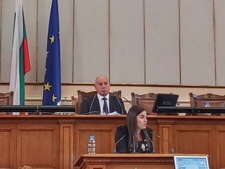 Желязкова: Промените в Закона за социалните услуги целят да не се блокира законодателството в сферата