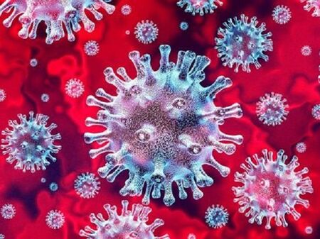 Рекордни 8 жертви на COVID-19 у нас, 270 са новите случаи на коронавирус