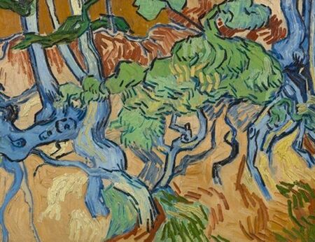 Откриха дърво, рисувано от Ван Гог часове преди смъртта му