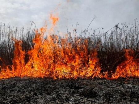 Възрастен мъж почина при пожар, тръгнал от сухи треви