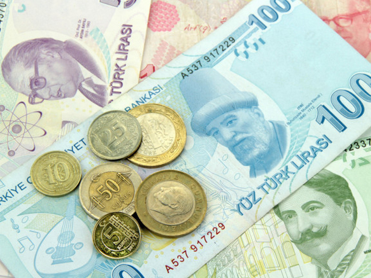 Доллар рубль турция. Валюта Турции. Турецкая валюта.