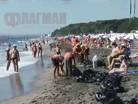 Почистиха Северния плаж в Бургас от палмово масло, експерти от РИОС уверяват, че е безвредно