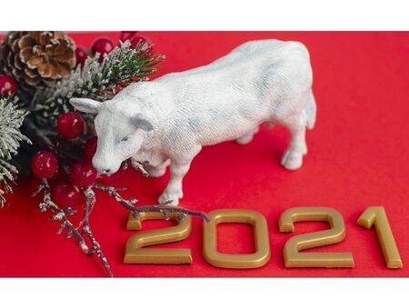 Кратка астрологична прогноза за 2021 - Годината на белия метален Вол