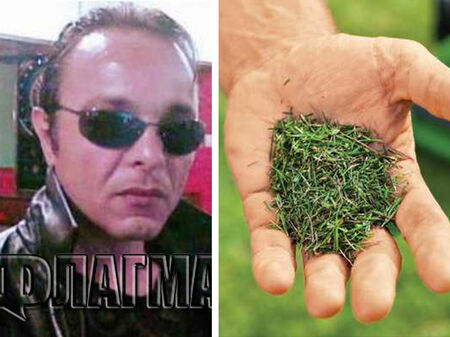 Екслейтенантът на Очите Гроздан Балабанов и Красимир Каранлиев са тарикатите, продали трева вместо марихуана на 28-годишния софиянец