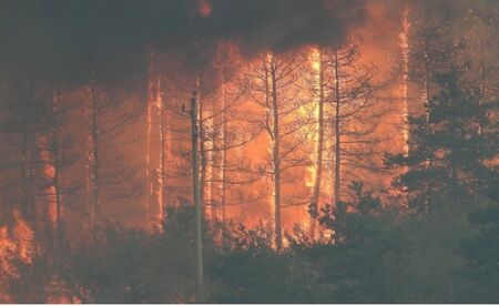Лесово продължава да гори