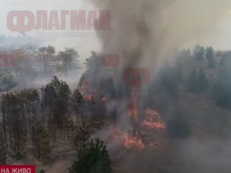 200 пожарникари и доброволци се борят с огнения ад в Хасковско, спасиха няколко села