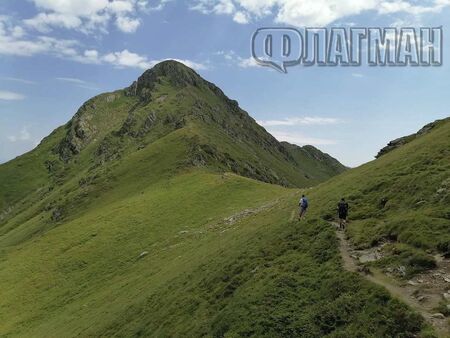 Какво ви очаква, ако започнете да се разхождате всеки ден