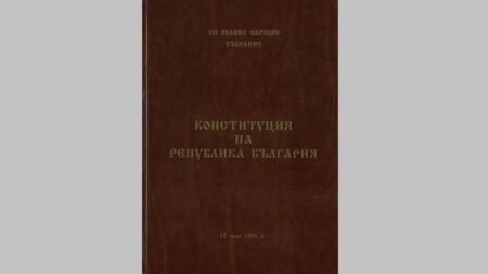 Новата конституция е голям риск за икономиката