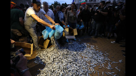 48-и ден на протести: Изсипаха мъртва риба пред Министерски съвет