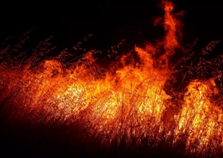 Втори ден гасят пожар в Сливенско