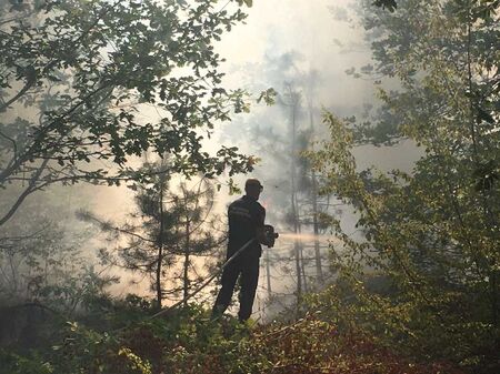 Огромен пожар край Вресово, десетки горски и огнеборци се борят със стихията