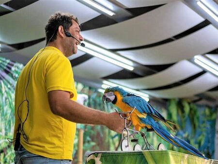 Татко Калоян и неговите папагали ще работят за доброто ви настроение и през септември