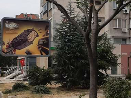 Жители на бургаския ж.к."Славейков": Отрязаха борчетата, за да не пречат на билборда