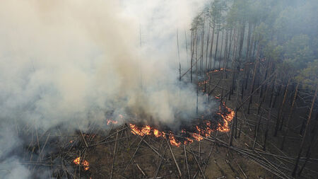 Внимание! Опасност от пожари в 5 области, включително Бургас