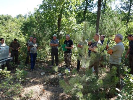 ЮИДП – Сливен с нова лесовъдна практика в горите на Странджа