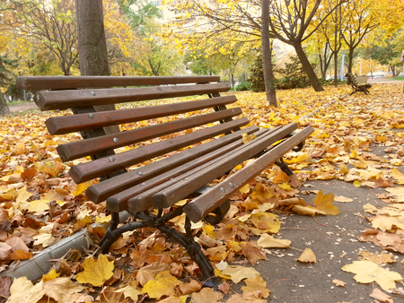 5 неща, които може би не знаете за есента