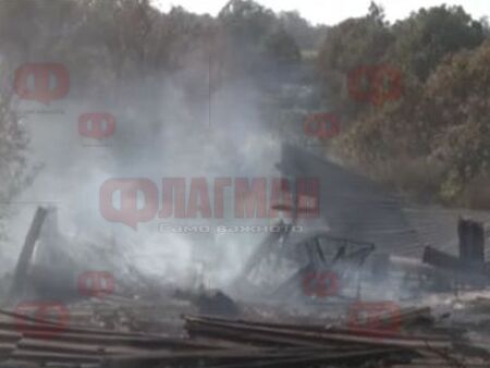 Доброволци спрели огъня в Граничар, 55 горски и пожарникари гасят пожара в гората край селото
