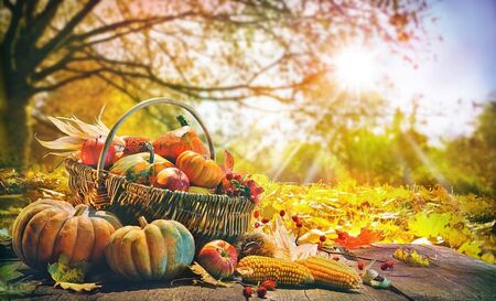 Как да се храним през есента, за да сме здрави през зимата