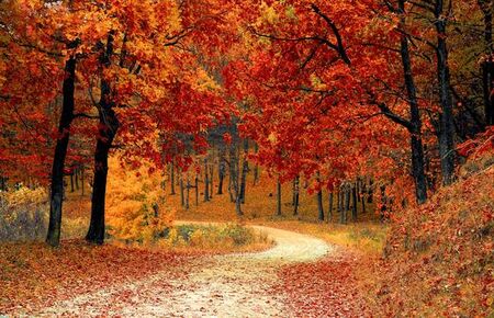 7 причини да обичате есента