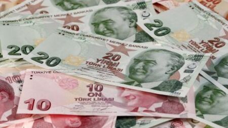 Турската лира пада главоломно