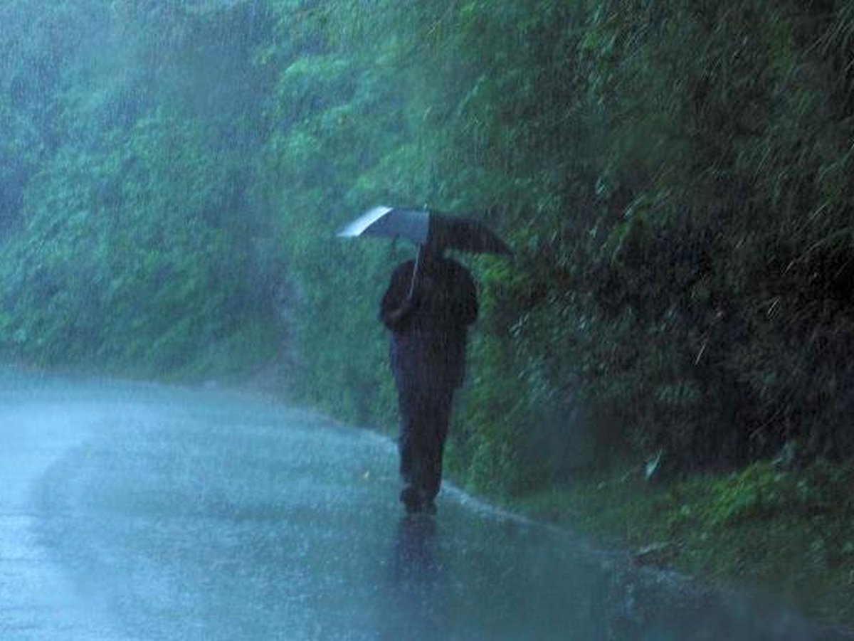 It rain rain rained last week. Rainy переклад. Rainy Day трек. Riding in the Rain. Wanderer in a Raincoat with a Lantern in the Fog.