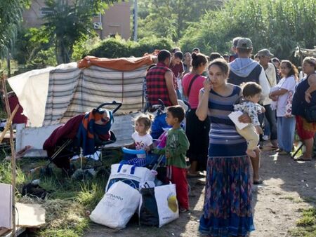 Близо 800 000 са ромите в България