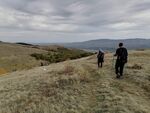Колко крачки на ден е добре да извървявате за повече здраве?