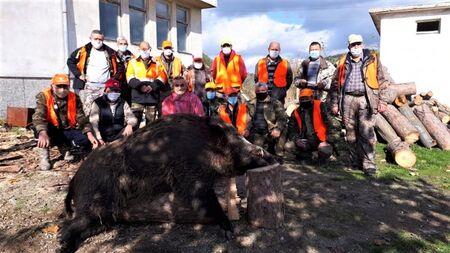 310-килограмов звяр гръмнаха над Ардино
