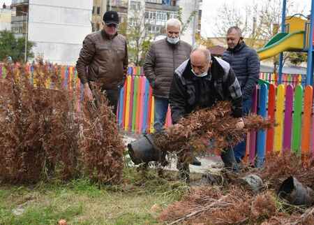 С 6 млн. лв. от Европа озелениха български град - засадили 615 фиданки, ама със саксиите