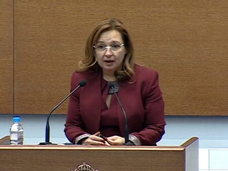 Парламентът избра бургазлийката Зорница Русинова за шеф на Икономическия и социален съвет