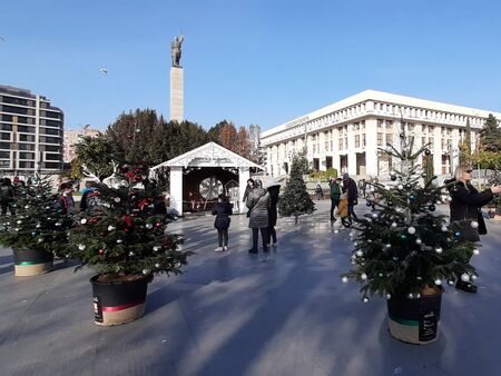 „Елхи на таланта" красят центъра на Бургас