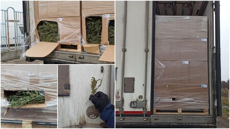 Два тона канабис са открити в камион с българска регистрация на ГКПП Дунав мост