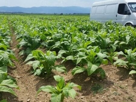 България получава 880 млн. евро за земеделските стопани и селските райони