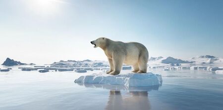 2020 г. постави нов глобален температурен рекорд