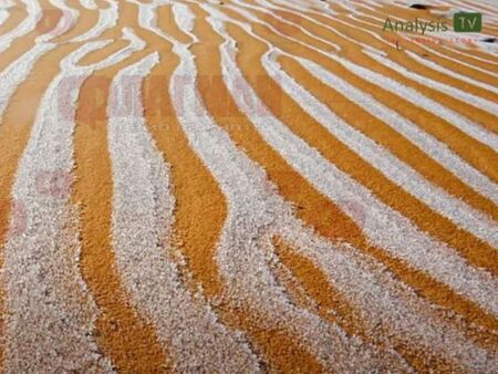 Сняг падна в пустинята Сахара
