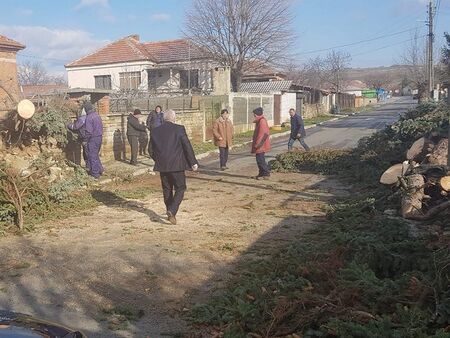 Бурният вятър изкорени дървета в Сунгурларе