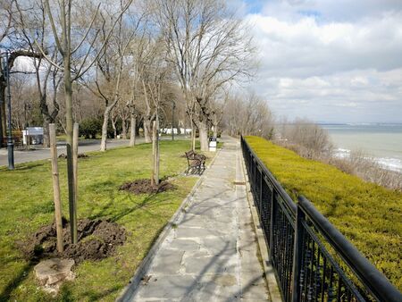 Засадиха млади липи и десет кедърчета в Морската градина в Бургас