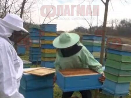 Пчелите в Бургаско масово измират, 152 кошера на Хюсеин от Желязово останаха празни