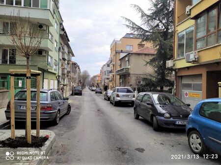 Засадиха още млади дървета по улиците „Асен Златаров“ и „Кирил и Методий“ в Бургас