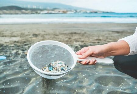 Пластмасовите отпадъци в Черно море са причинили смъртта на стотици животни
