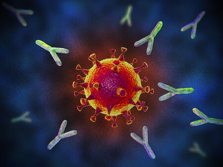 Преоткриване на истината: Преболедувалите COVID-19 развиват траен клетъчен имунитет