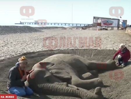 Гигантски слон се появи на плажа в Бургас