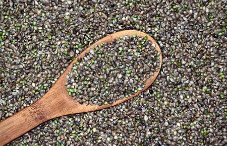 5 полезни свойства на конопеното семе