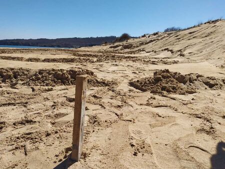 РИОСВ-Бургас: Дюните не са засегнати на плаж "Смокиня"