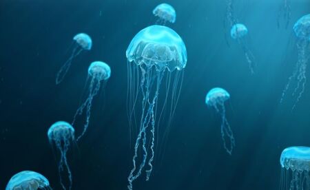 Кои са най-смъртоносните медузи в света