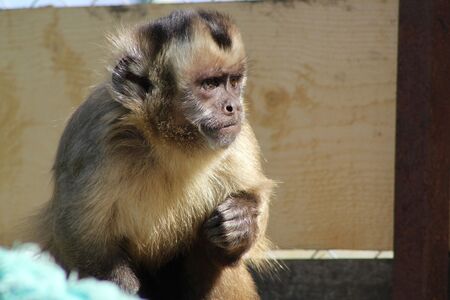 Пролетта в Зоопарк Бургас дойде с нови екзотични обитатели и бейби бум