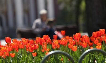 Седмицата започва с топло и предимно слънчево време