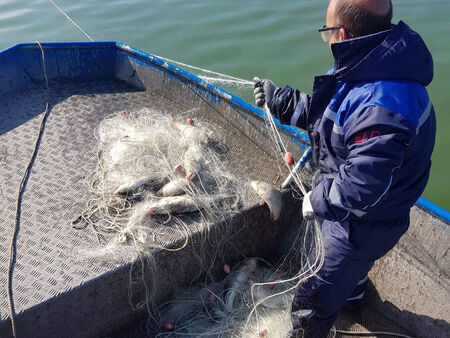 Бракониери хвърлиха мрежите за калкан край Созопол, риболовът обаче сега е забранен