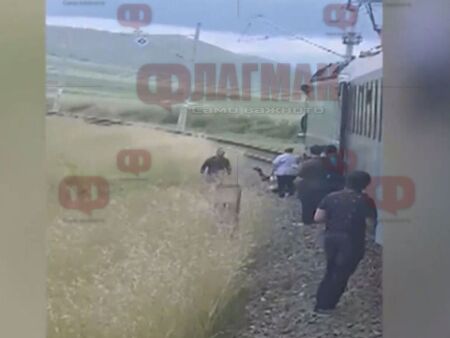 Влакът „Слънчев бряг“ прегази 22 крави, по чудо няма загинали хора